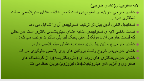 کتاب مروری جامع بر میکروبیولوژی عمومی حسین رحیمی ‍PDF