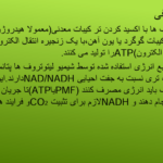 کتاب مروری جامع بر میکروبیولوژی عمومی حسین رحیمی ‍PDF
