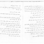 کتاب سلطان العارفین ابویزید البسطامی PDF