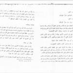 کتاب سلطان العارفین ابویزید البسطامی PDF