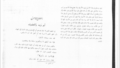 کتاب سلطان العارفین ابویزید البسطامی PDF