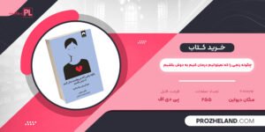 کتاب چگونه رنجی را که نمیتوانیم درمان کنیم به دوش بکشیم مگان دیواین PDF