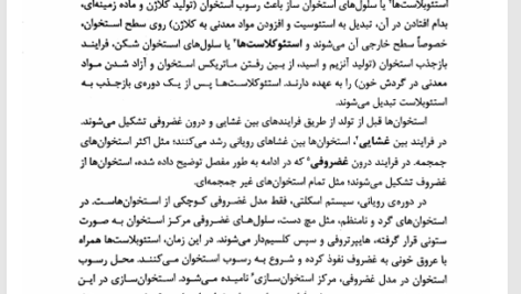 کتاب رشد حرکتی دکتر معصومه شجاعی PDF