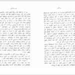 کتاب دوبروفسکی الکساندر پوشکین PDF