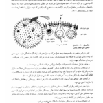 کتاب زیست شناسی سلولی و مولکولی احمد مجد PDF