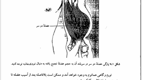 کتاب آسیب شناسی ورزشی رضا رفیع PDF