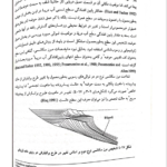 کتاب مبانی چینه نگاری سکانسی دکتر عبدالحسین امینی PDF