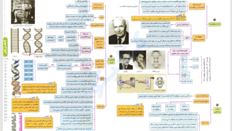 کتاب میگ میگ زیست دوازدهم PDF