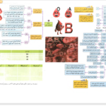 کتاب میگ میگ زیست دوازدهم PDF