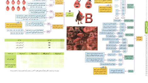 کتاب میگ میگ زیست دوازدهم PDF