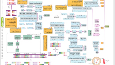 کتاب میگ میگ زیست دوازدهم PDF