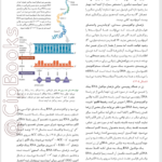 کتاب بیولوژی کمپبل 2020 مصطفی پویان PDF
