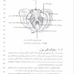 کتاب آناتومی به زبان ساده کالبد شناسی عمومی انسان دکتر محمد رضا نیکروش PDF