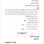 کتاب در قلمرو زرین حسین محی الدین الهی قمیشه ای PDF