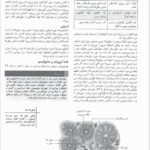 کتاب درسنامه جامع اورژانس پیش بیمارستانی جلد دوم علیرضا ابوطالبی ‍PDF