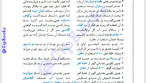 کتاب قلمرو ادبی اکبر یحیوی PDF