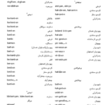 کتاب واژه نامه شصت و هفت گویش ایرانی دکتر صادق کیا PDF