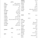 کتاب واژه نامه شصت و هفت گویش ایرانی دکتر صادق کیا PDF