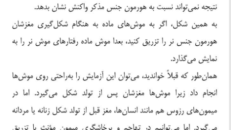کتاب جنسیت مغز آن مویر PDF