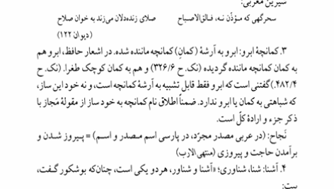 کتاب شرح شوق سعید حمیدیان جلد پنجم PDF