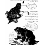 کتاب مغز و ذهن عبدالرحمن نجل رحیم PDF