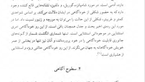 کتاب مغز خفته شروین وکیلی PDF