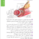 کتاب زیست تصویری کنکور مهر و ماه محمد عیسایی PDF