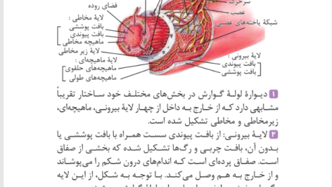 کتاب زیست تصویری کنکور مهر و ماه محمد عیسایی PDF
