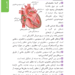کتاب زیست تصویری کنکور مهر و ماه محمد عیسایی PDF