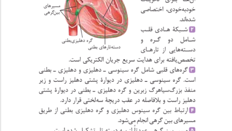 کتاب زیست تصویری کنکور مهر و ماه محمد عیسایی PDF