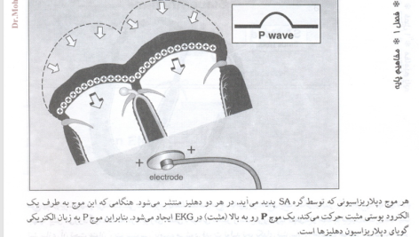 کتاب خواندن فوری الکتروکاردیوگرام دیل دوبین PDF