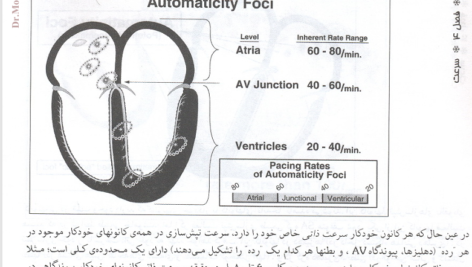 کتاب خواندن فوری الکتروکاردیوگرام دیل دوبین PDF