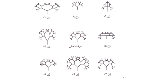کتاب ساعت ساز نابینا ریچارد داوکینز PDF