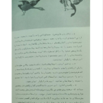 کتاب هنرهای رزمی شائولین PDF