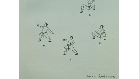 کتاب هنرهای رزمی شائولین PDF