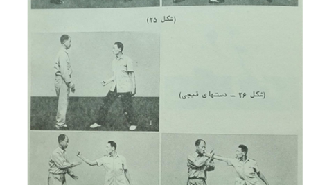 کتاب هنرهای رزمی شائولین PDF