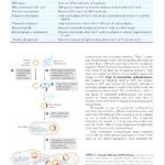 کتاب Lehninger Principles Of Biochemistry دیوید ال نیلسون PDF