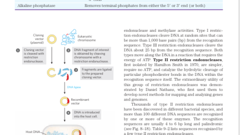 کتاب Lehninger Principles Of Biochemistry دیوید ال نیلسون PDF