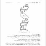کتاب مبانی و مسائل ژنتیک ویلیام استانسفیلد ‍PDF