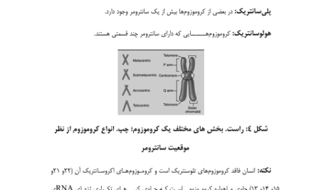 کتاب ژنتیک پزشکی پرهام جبارزاده PDF