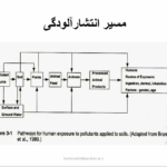 کتاب آلودگی محیط زیست مینو دبیری PDF