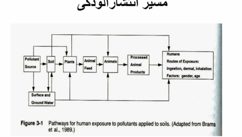 کتاب آلودگی محیط زیست مینو دبیری PDF